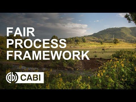 FAIR Process Framework
