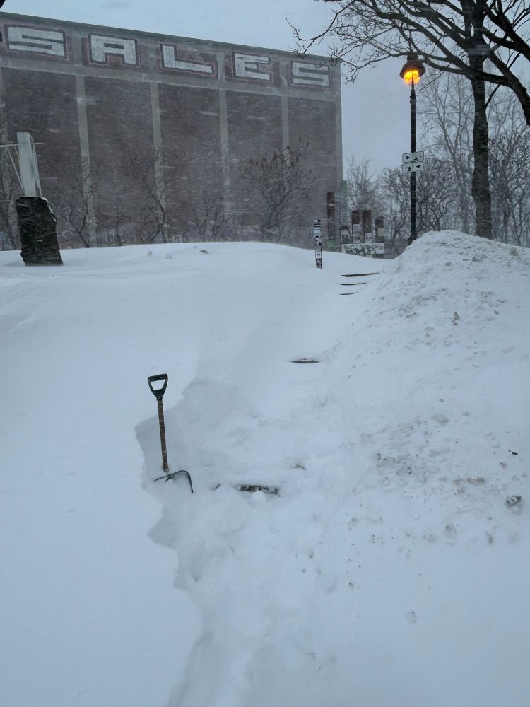 16 février 2025/Avant