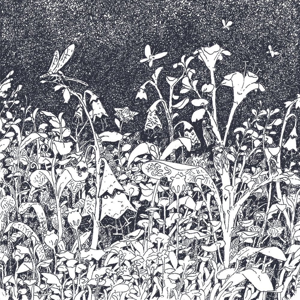 Plants. There's a veriety of insects hiding in leafs, flying, etc