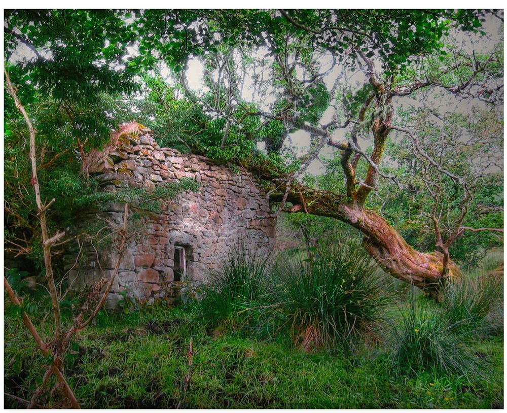 While on a walk in Donegal Ireland I came upon this wonderful old building in a fairytale setting. Beautiful in its decay I wondered about the history of the place and of the people who had called this home.