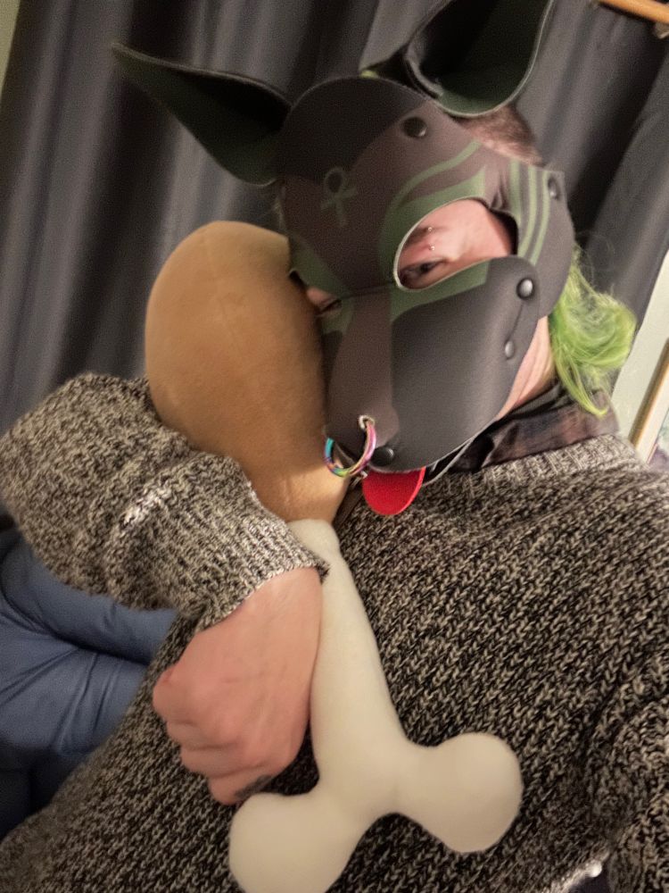 Cerberus holding a stuffed chicken leg toy, gifted to him by his partner, Alix, for his birthday. His eyes are open this time!