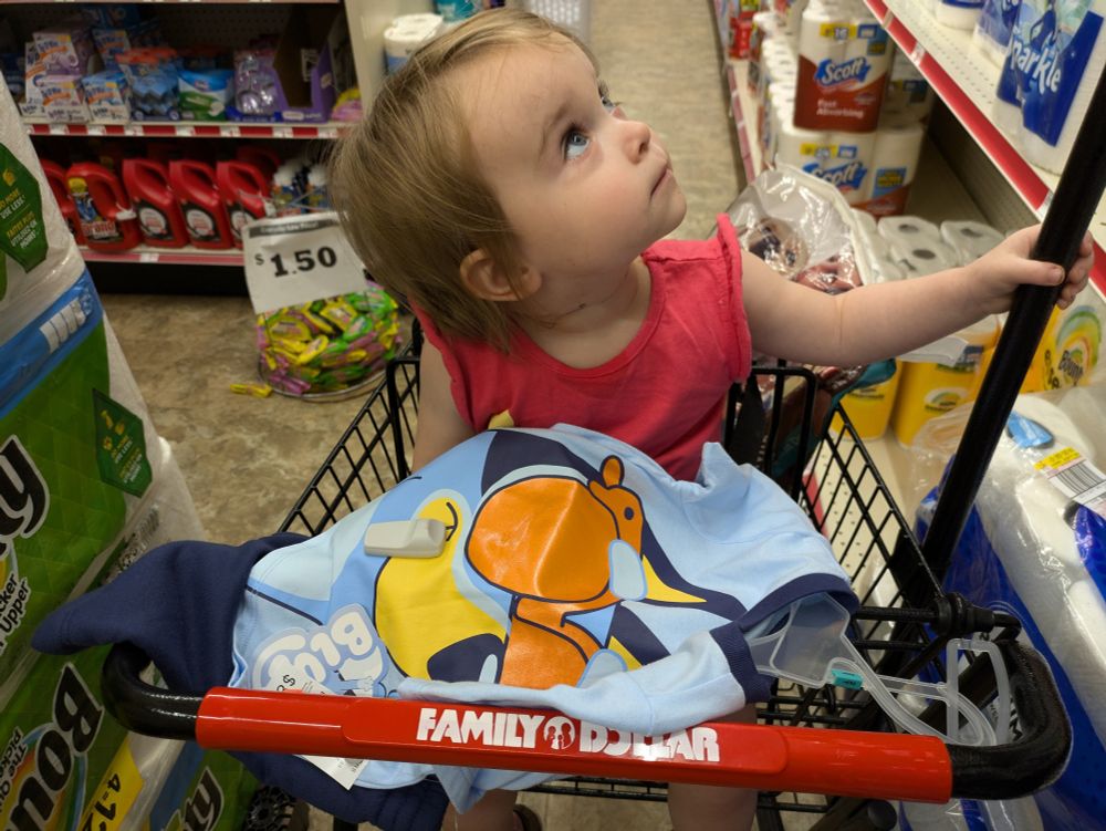 The Gremlin in the cart of the local Family Dollar, with her $3 Bluey outfit