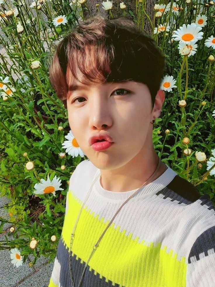 Hobi blowing a kiss in front of a flower field. His lips look obscene 