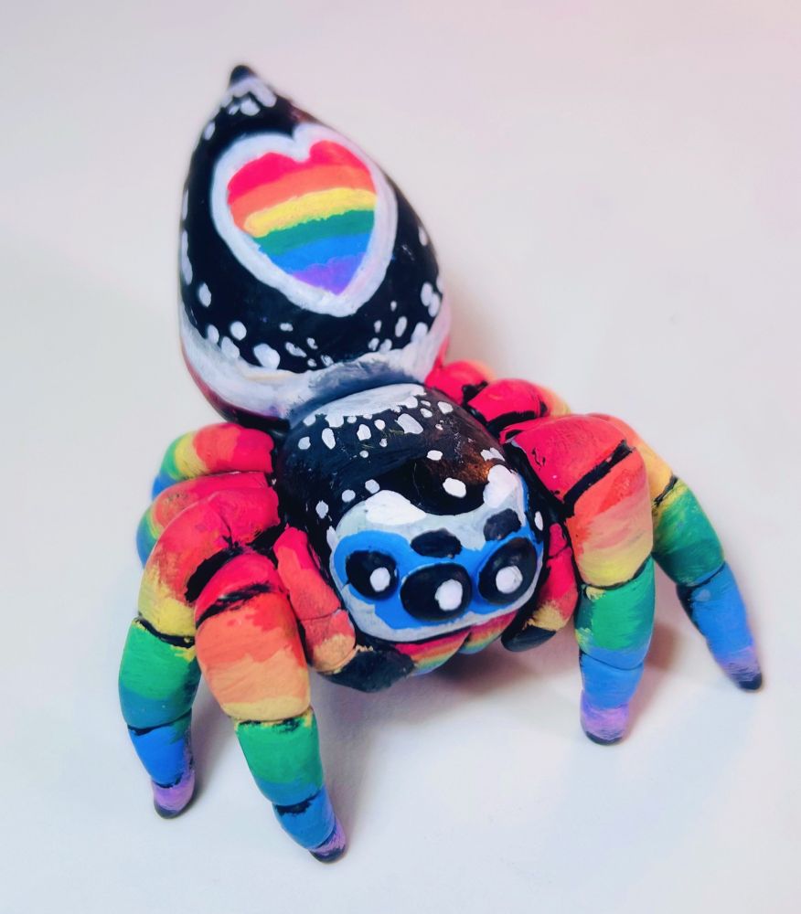 A rainbow clay jumping spider