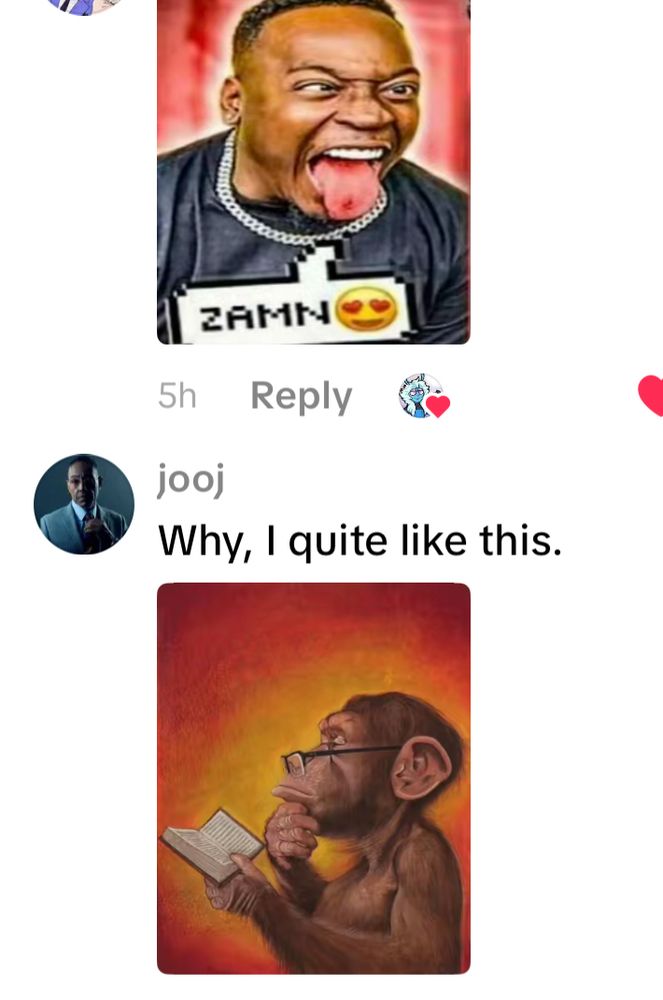 a tiktok screenshot of reaction images: Zamn meme (without the she’s 13 part) and a chimpanzee reading a book with glasses 

text: “why, i quite like this”