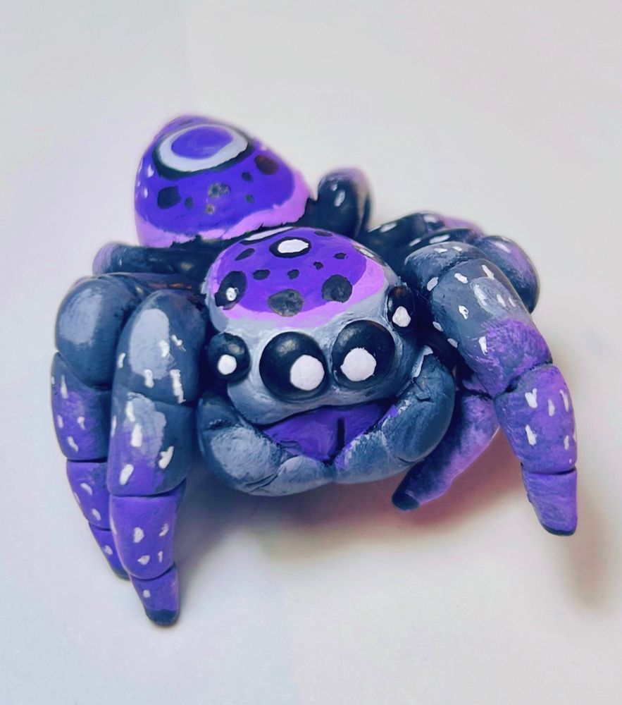 A purple asexual flag clay jumping spider