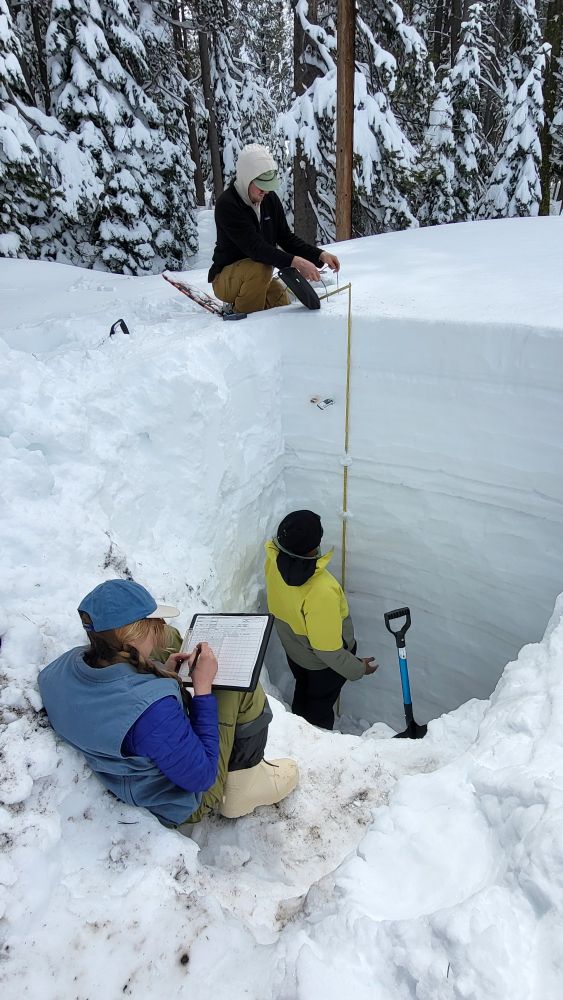 Researcher taking notes as other researchers are taking measurements in a snow pit.