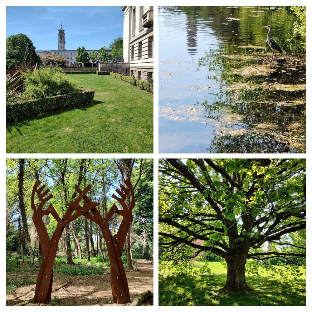 Trent building with tower in background, garden in front of Portland Building in foreground; heron and reflection of Trent tower and trees in lake; rusty metal abstract tree sculptures; real oak in dappled sun light on downs