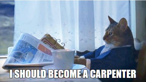 Meme with the cat staring into space over a newspaper, the text reading 'I SHOULD BECOME A CARPENTER'