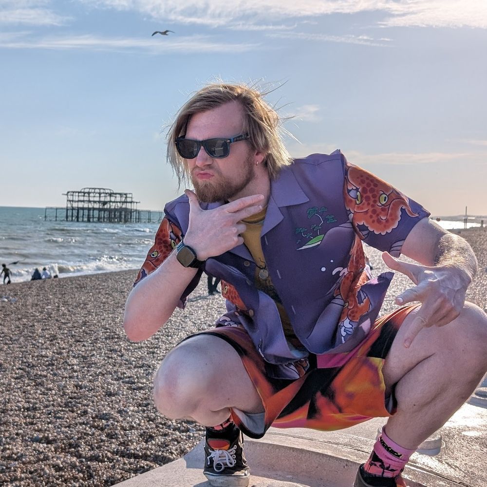 Me, posing with the remains of the famous burned down Brighton west pier in the background.

I am attempting to strike a pose as obnoxious as my outfit - squatting on a wall, lips pursed, hand under my chin, throwing what could be mistaken for gang signs if you'd never seen an actual gang before. 

I'm a white dude with a ginger beard and long blond hair, I'm wearing sonic the hedgehog sunglasses, a purple shirt with orange octopuses on it, a yellow tee under that, kinda orange yellow pink tie-dye-ish shorts, and neon pink socks.

It's a sunny day and through either luck or expert timing, a seagull is in the midground flying over Brighton beach (which is all rocks, no sand).