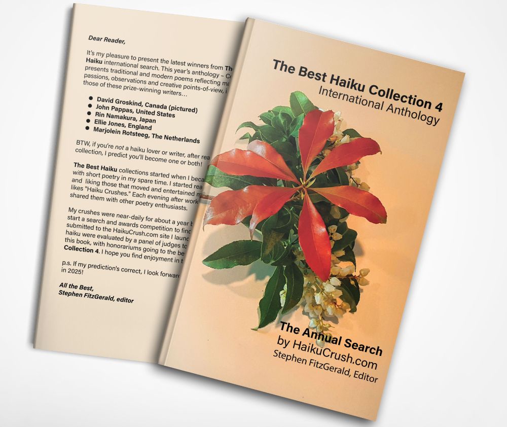 This is a photo of the front and back covers of the annual, international Best Haiku anthology, just published and now available on Amazon via this shortcut link: TinyURL.com/TheBestHaiku

Thanks to everyone who entered The Best Haiku search! And thanks to an anonymous reader who made it possible to increase our honorariums this year!

TBH, we were buried by the record number of entries, whew!!! Thanks for your patience and understanding. 😘

