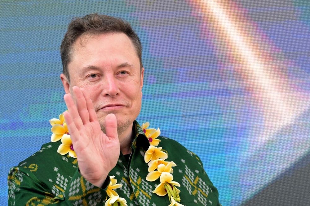 Has Elon Musk just started a new war on women by binning the block button?