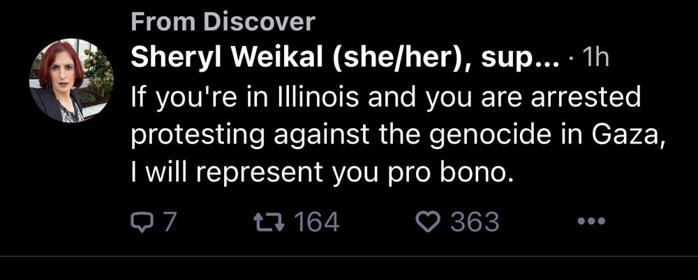 Offensichtlich der Account einer amerikanischen Anwältin, die anbietet, kostenlos jene zu vertreten, die in Illinois gegen den „Massenmord in Gaza“ auf die Straße gehen.