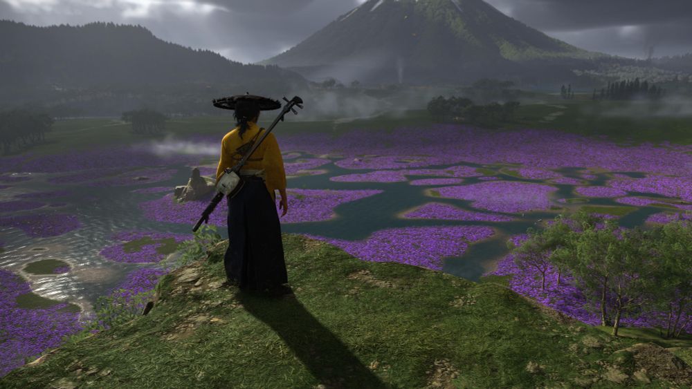 Game screenshot: The Ghost of Yotei, Atsu, stands on a cliff looking down on a swampy field of vibrant purple flowers. Mount Yotei can be seen in the distance