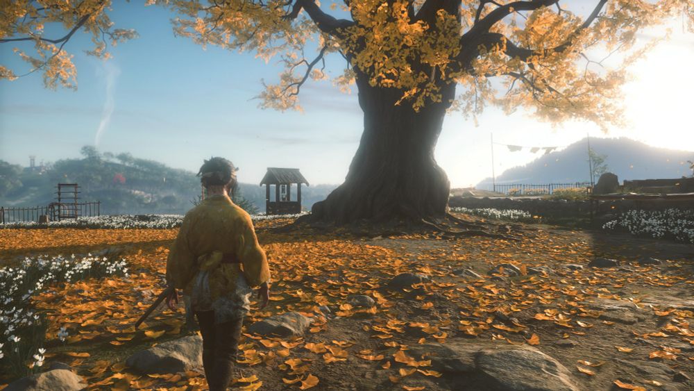 Young Atsu walking towards a big tree with yellow leaves. The leaves are scattered all over the ground