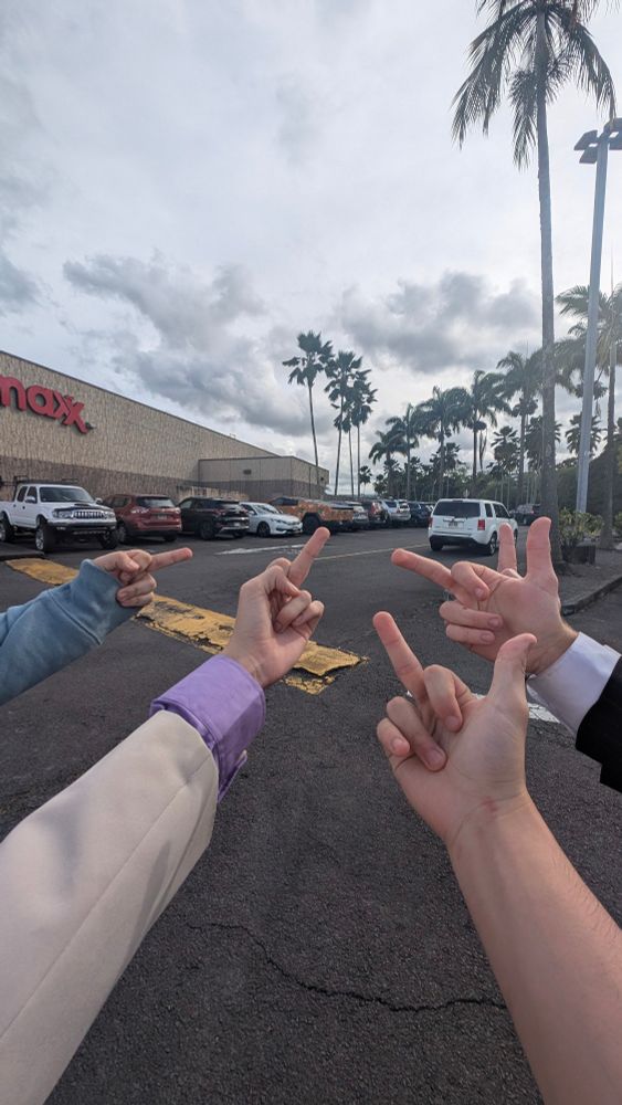 A bunch of idiots flipping off a really badly wrapped cyber truck
