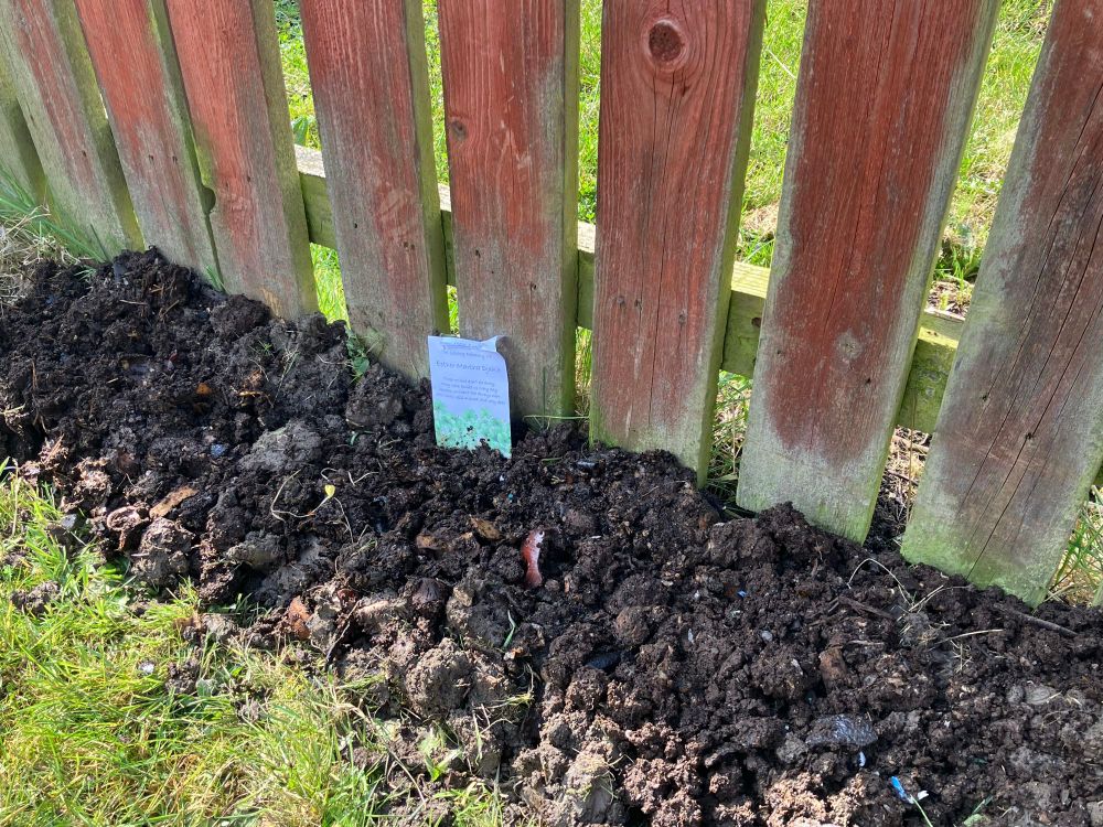 Newly prepared earth at the edge of my lawn with the empty seed packets marking the place I've sown the seeds. 