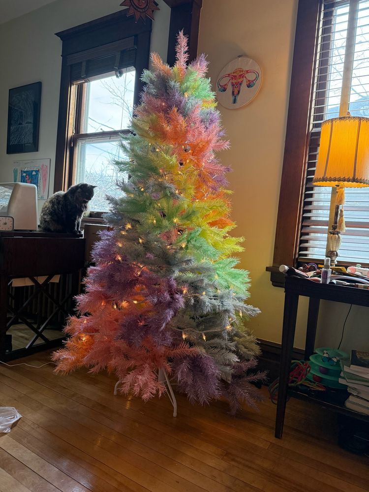 Pastel rainbow Christmas tree with white lights next to a table where a fluffy tortoiseshell cat sits staring at it. In the background is a rainbow cross stitched uterus wall hanging.