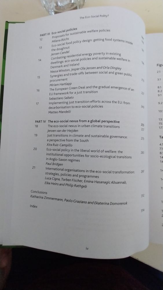 The table of content of "The eco-social polity?", available at https://policy.bristoluniversitypress.co.uk/the-eco-social-polity