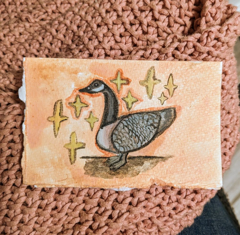Image description: a painting sits on a pink background. The background of the painting itself is orange with six sparkles surrounding a Canadian goose. The goose is black, grey, and white. 
