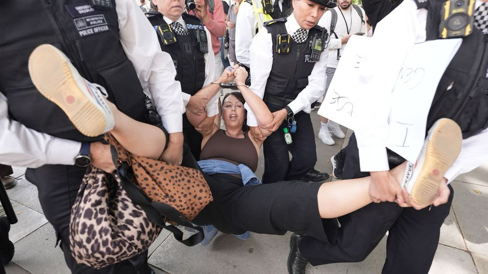 Palestine Action has been proscribed since 5 July, making it a criminal offence to show support for the organisation, but police said a "significant number" were carrying placards backing the group.