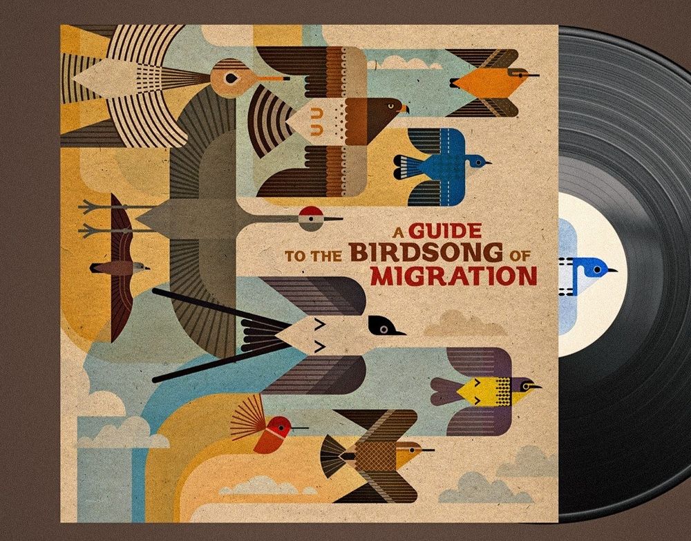 A guide to the Birdsong of migration