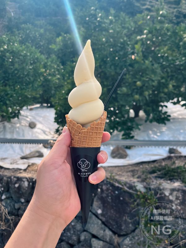 和歌山県湯浅町。エムシトラス。三宝柑ソフトクリーム。