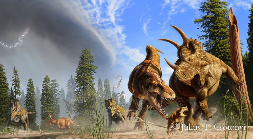 Galleries featuring the Natural History illustrations and paleoart of Canadian artist Julius Csotonyi. The galleries include illustrations of dinosaurs, prehistoric marine animals and many other prehi...