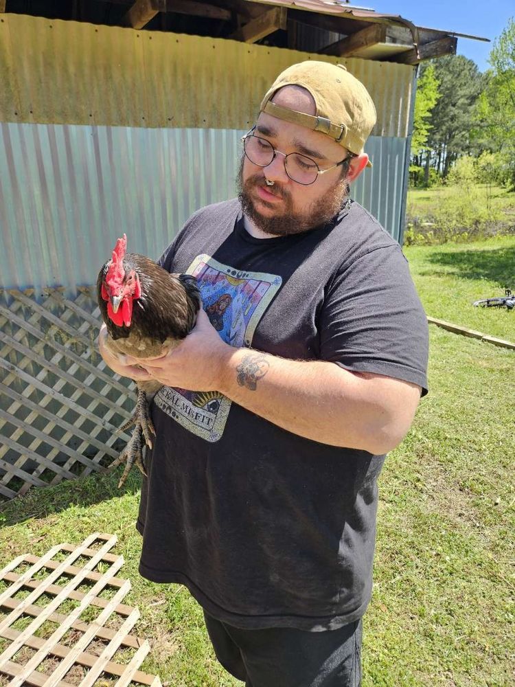 Caleb holding a rooster like you would a small dog, with a disapproving look lmao 
