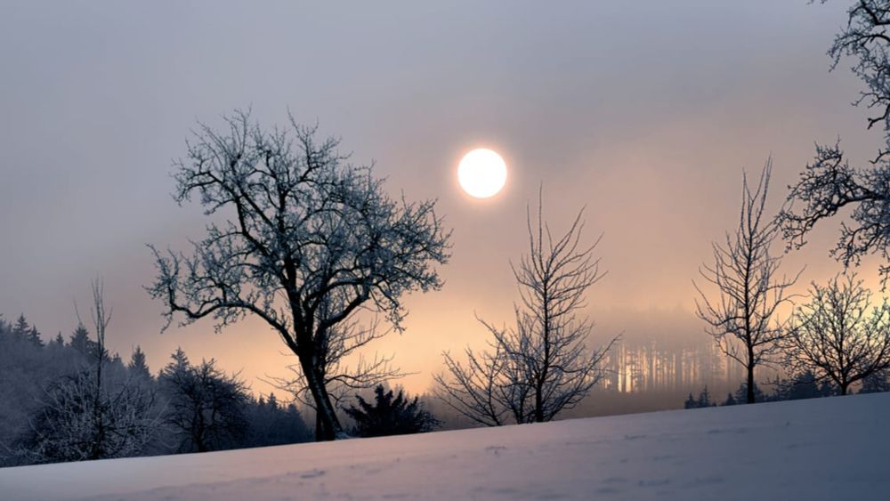 Winter Solstice 2023: The Shortest Day of the Year