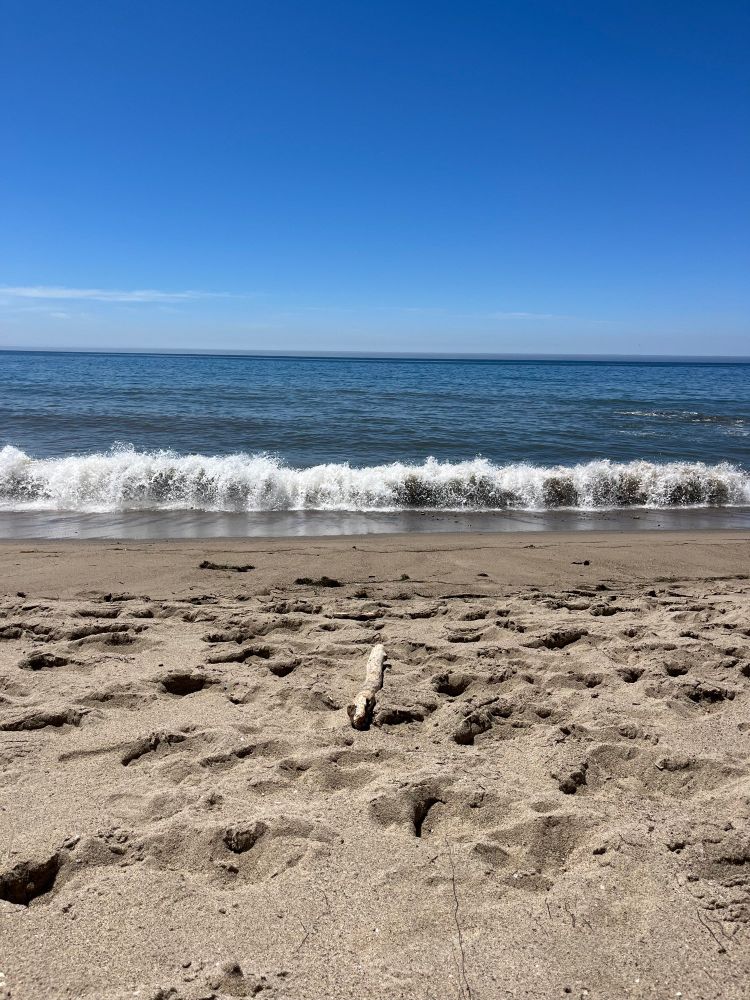 Small waves break on a sandy beach on a sunny day with a bright blue sky 
