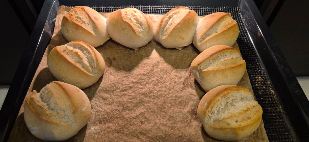 Ein Backblech mit 8 goldbraun gebackenen Brötchen. Vorne in der Mitte eine Aussparung.

Rezept:
400 g Weizenmehl Type 550
100 g Roggenmehl Type 997
6 g Salz
8 g Frischhefe
260 g Wasser
50 g Milch
10 g Sonnenblumenöl

10 Minuten in der Küchenmaschine bei höherer Geschwindigkeit kneten.
Leicht bemehlen, 20 Minuten in der Schüssel gehen lassen.

Teiglinge formen. Flach drücken, zusammenrollen und zu Brötchen formen.

Noch mal ca 30 Minuten gehen lassen.
Dann den Backofen vorheizen (250° C Ober-/Unterhitze). Wenn der Backofen fast fertig vorgeheizt ist, die Brötchen längs einschneiden.

Mit etwas Wasser besprühen, in den Ofen geben und mit reichlich Dampf 9 Minuten backen.
Dampf ablassen, 3 Minuten backen, dann herausnehmen.