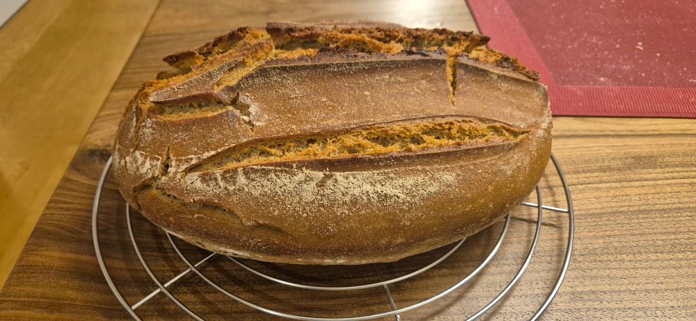 Ein Sauerteigbrot (ca ⅓ Roggen, ⅔ Weizen) auf einem runden Gitterrost. Ein langer, tiefer Einschnitt in der Mitte, ein etwas oberflächlicherer an der Seite.