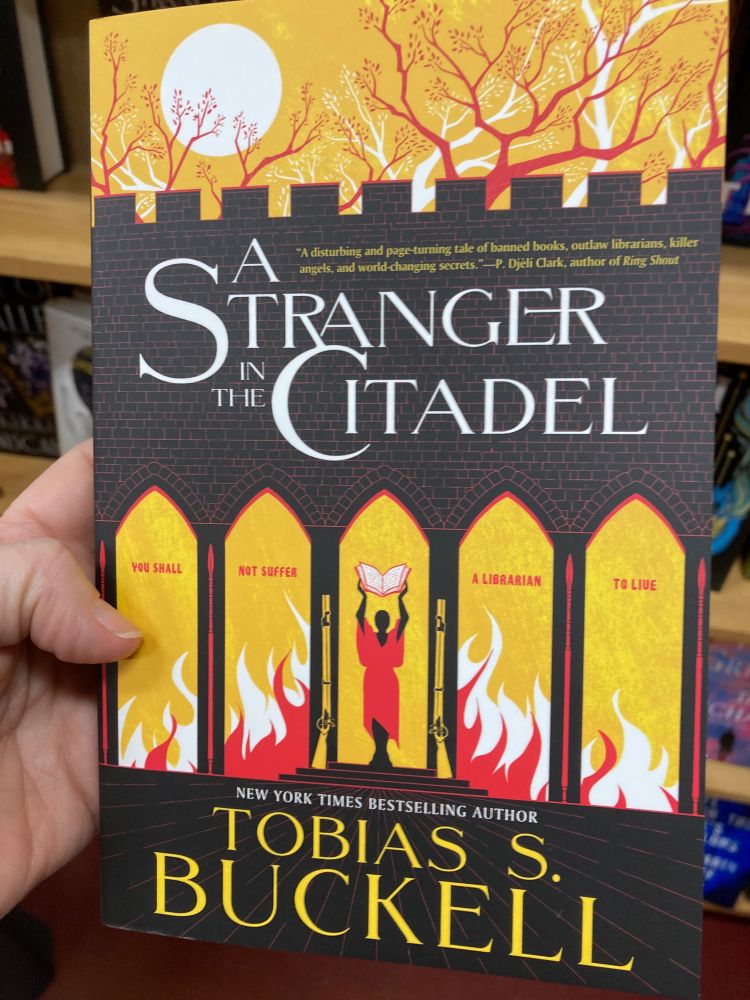 Photo of A Stranger in the Citadel book cover.