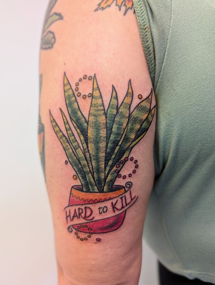A snake plant tattoo on the back of an arm with the words "hard to kill"