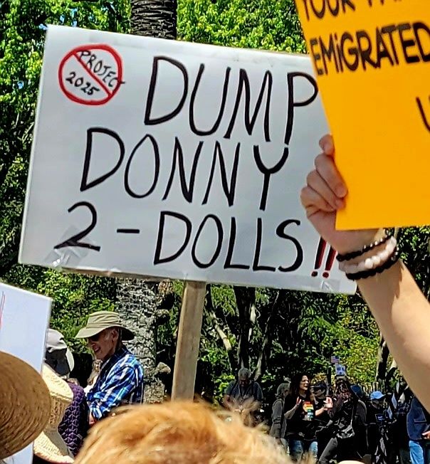 Protest sign that says, Dump Donny 2-Dolls!!