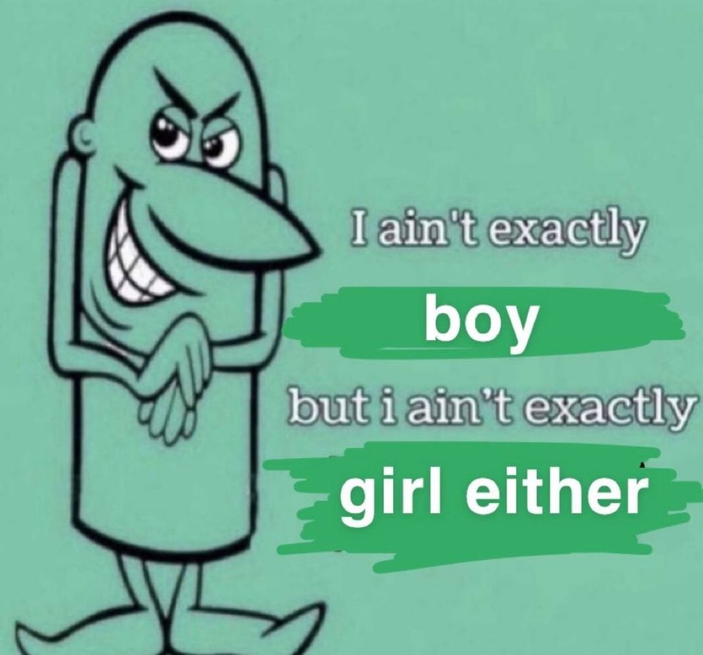 A meme that says “i aint exactly boy but i aint exactly girl either” theres this green dildo lookin dude with a smug look 