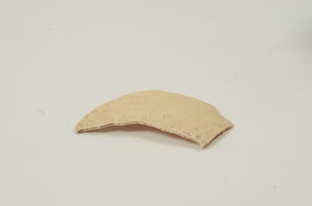 Eggshell of Moa's egg, otagomuseum.nz