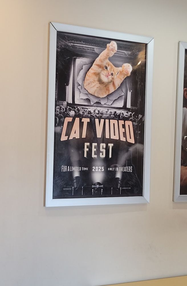 Poster on wall for Cat Video Fest 2025