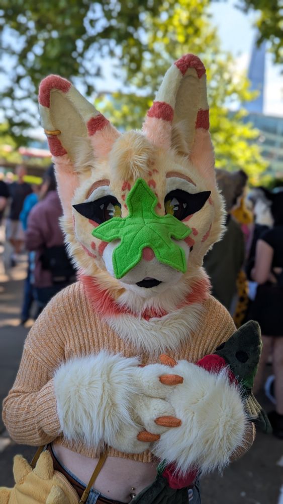 A photo of my yellow serval fursuit with a handmade plush tree star on her nose, while also holding a plush salmon.