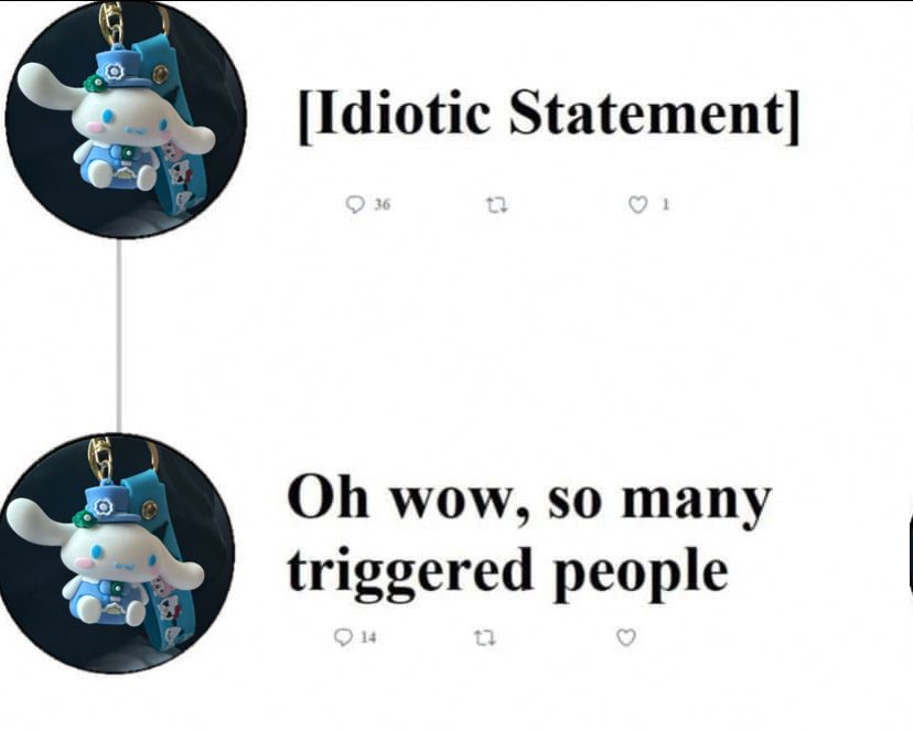 A mockup of a comment thread:

post 1 (by someone with Hailey’s avatar):
[Idiotic Statement]

---

post 2 (by the same poster):
Oh wow, so many triggered people