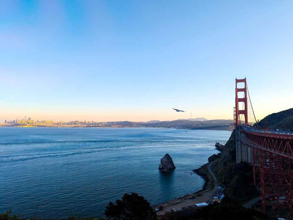 San Francisco skyline with Golden Gate Bridge and a bird