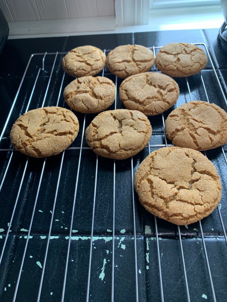 Cookies on a metal cooling rack. They're brown, and if you could smell them, you could tell they have the sweet goodness of molasses, plus ginger, cinnamon, and cloves. (They're molasses crinkles.)