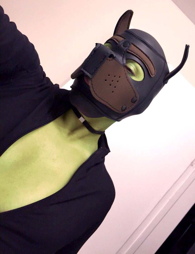 Orc in brown and black neoprene pup hood, choker, and tight black top (halfway unzipped) in front of white background.
