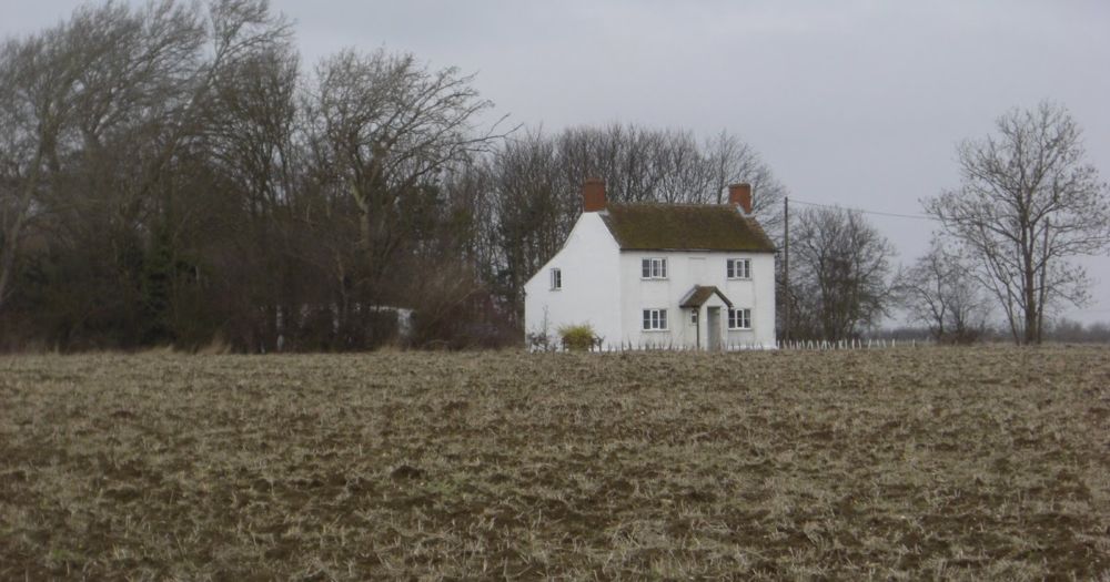 "Wild Houses" by Colin Barrett