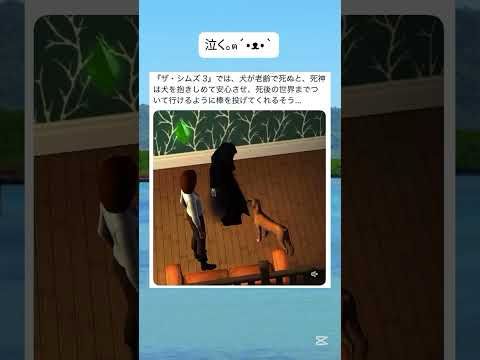 このお別れの演出は優しすぎる(´；ω；｀)#shorts #犬#ゲーム#動物