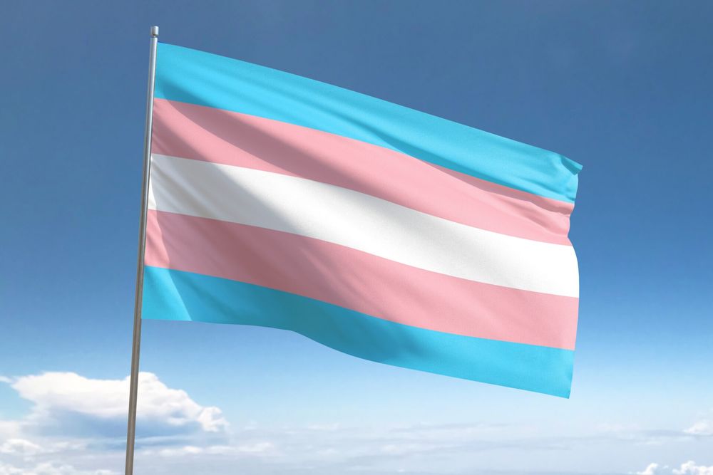The trans pride flag