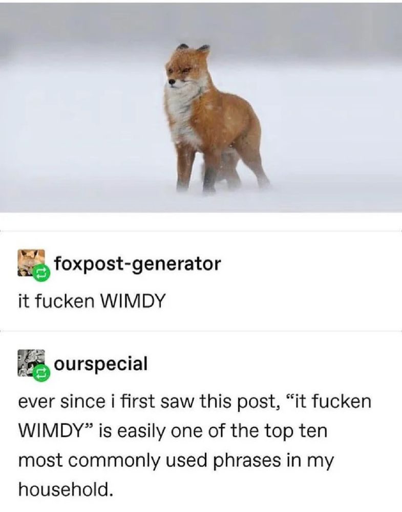 A photo showing a fox trying to stand against the snow storm. Below the photo OP wrote: It fucken wimdy. Below that someone else says they’re always using the sentence in their home now. 