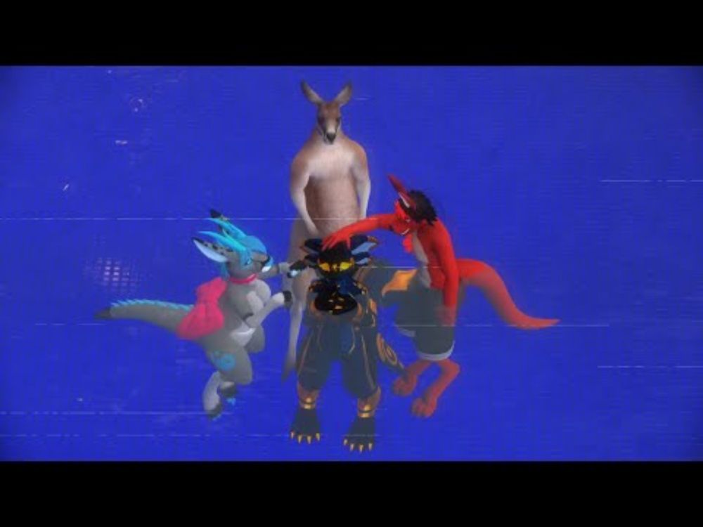 Kangaroo's at a water park