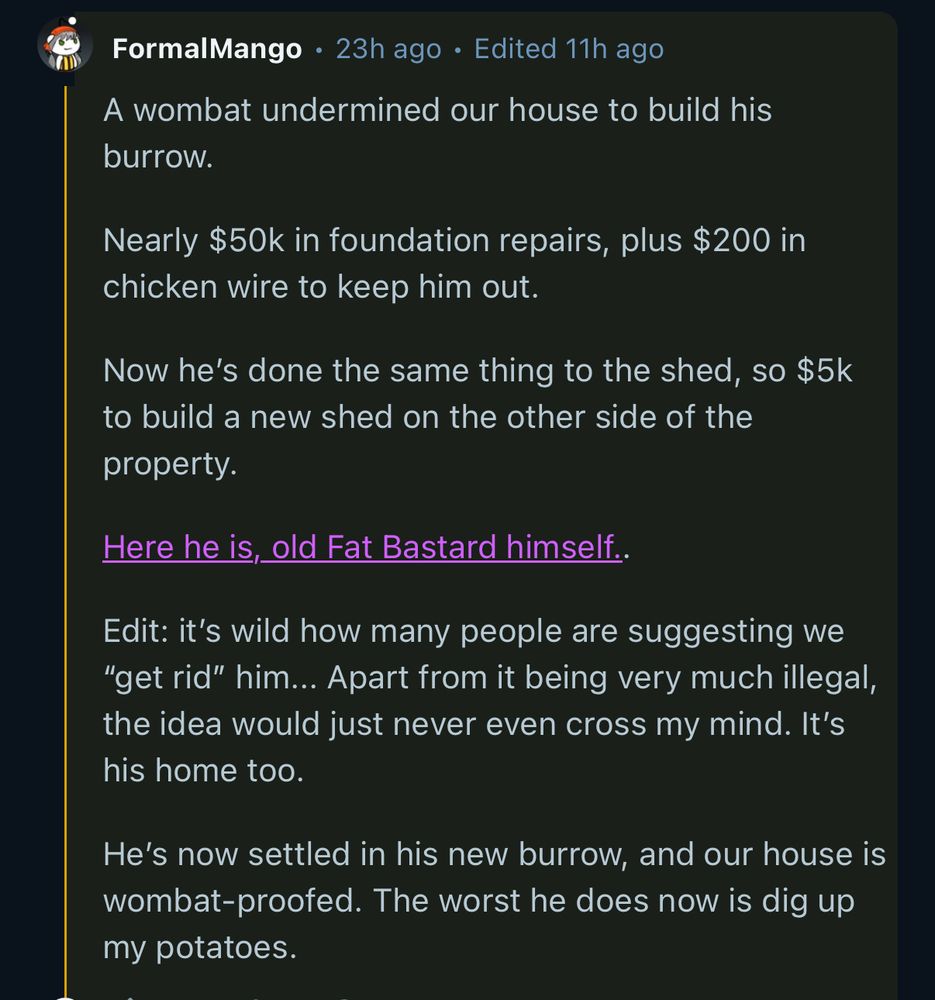 A wombat undermined our house to build his burrow.

Nearly $50k in foundation repairs, plus $200 in chicken wire to keep him out.

Now he’s done the same thing to the shed, so $5k to build a new shed on the other side of the property.

Here he is, old Fat Bastard himself..

Edit: it’s wild how many people are suggesting we “get rid” him... Apart from it being very much illegal, the idea would just never even cross my mind. It’s his home too.

He’s now settled in his new burrow, and our house is wombat-proofed. The worst he does now is dig up my potatoes.